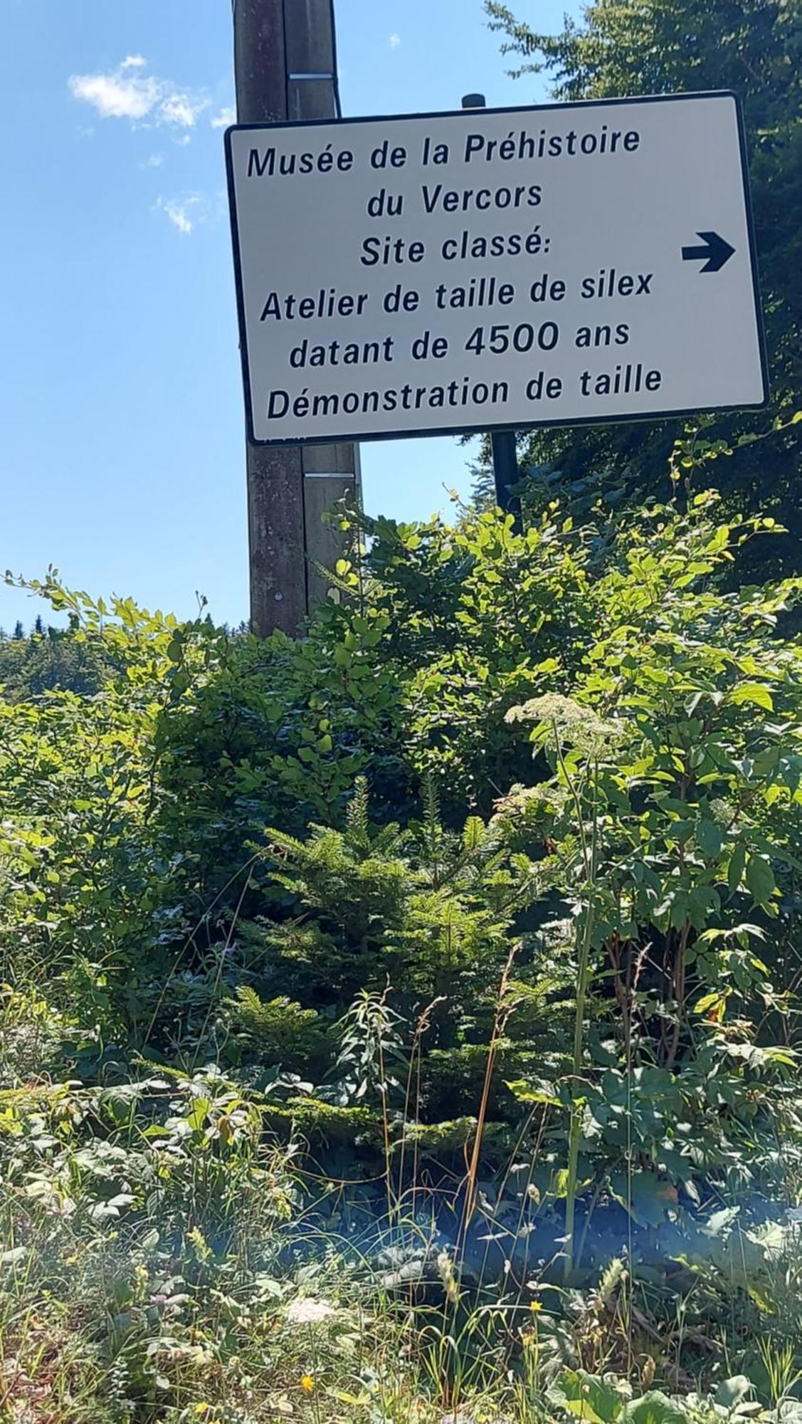 Gite De Dragoux Bouvante Bagian luar foto